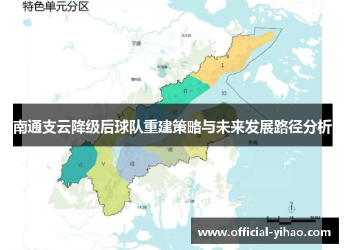 南通支云降级后球队重建策略与未来发展路径分析