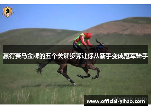 赢得赛马金牌的五个关键步骤让你从新手变成冠军骑手