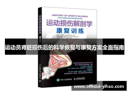 运动员肾脏损伤后的科学恢复与康复方案全面指南