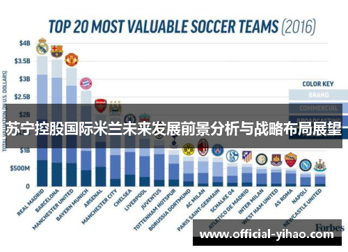 苏宁控股国际米兰未来发展前景分析与战略布局展望 苏宁控股国际米兰未来发展前景分析与战略布局展望