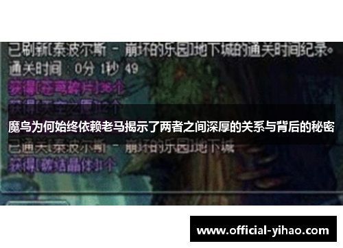 魔鸟为何始终依赖老马揭示了两者之间深厚的关系与背后的秘密